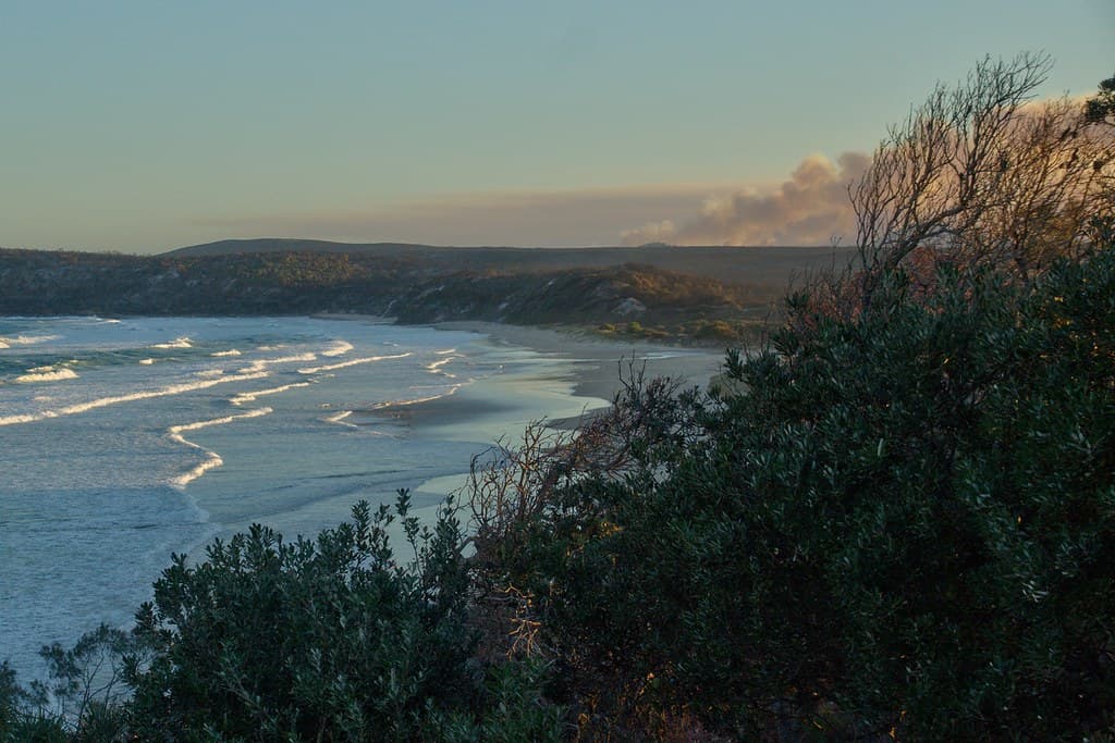 Shelly Beach (Angourie) — photo by Tatters ✾
