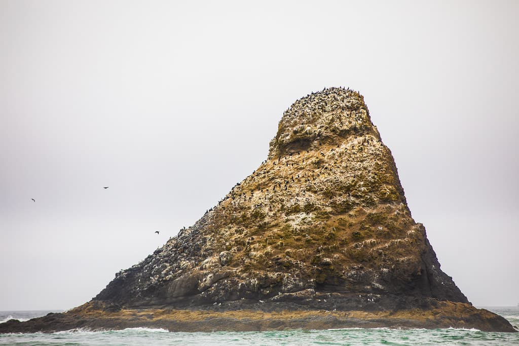 Perch