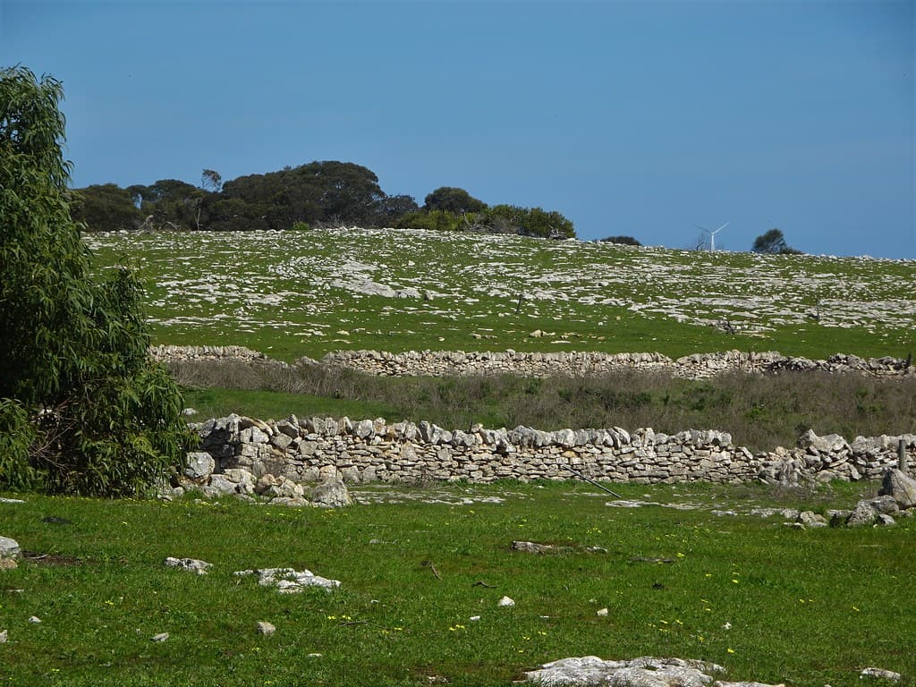 Port Lincoln. Stone walled enclosure for sheep near where the Mikkira wool shed stood.