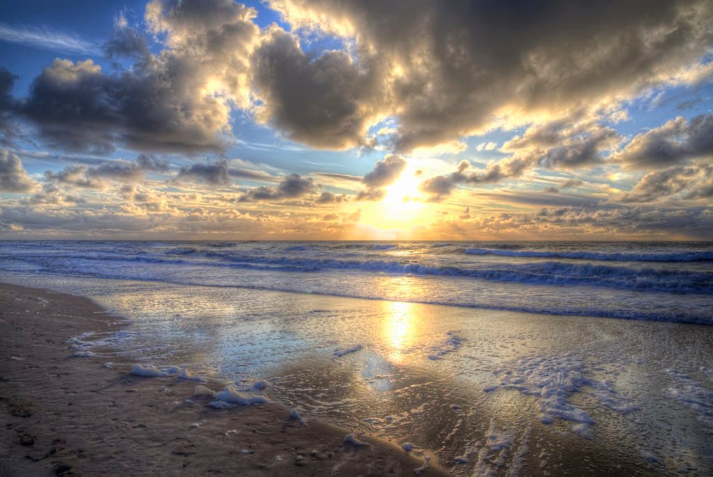Den Helder Dunes Quiet Beach — photo by blavandmaster