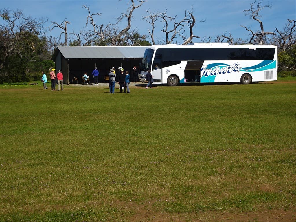 Port Lincoln.  Grants touring coach on Mikkira station. Morning tea stop near koalas, emus and the old station homestead which dates from 1842.