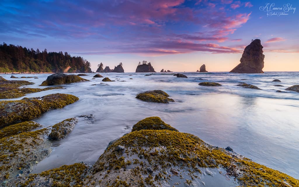 The Wild Coast