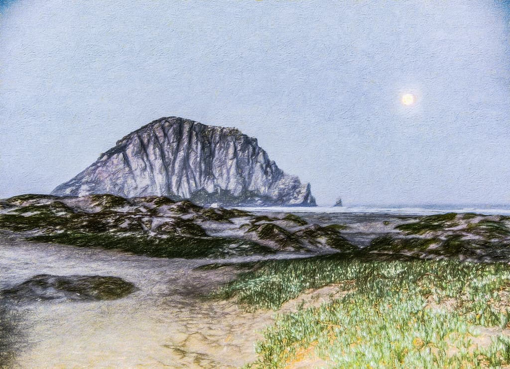 Moonlight Day (p)