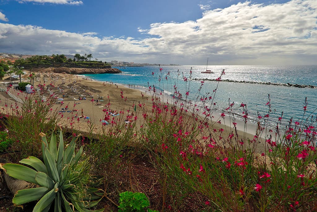 Playa de Fañabé — photo by Laurent Simon