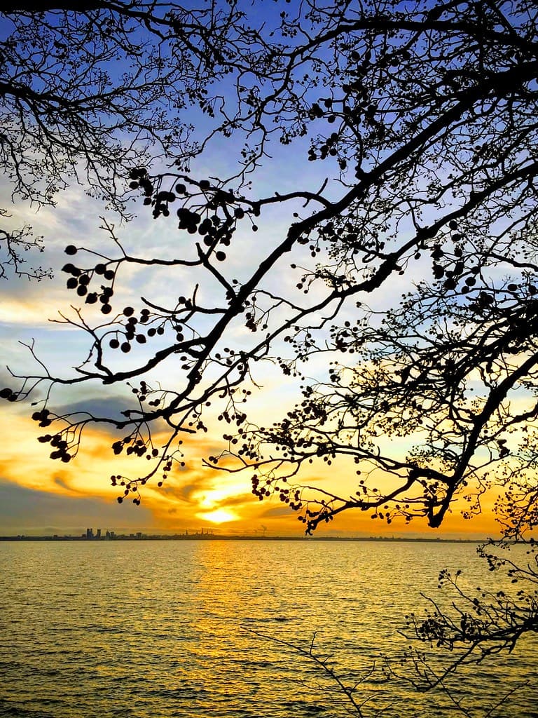 Püünsi Beach — photo by sergei.gussev