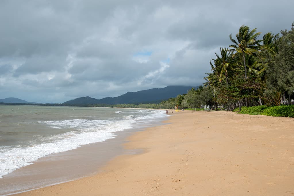 Palm Cove