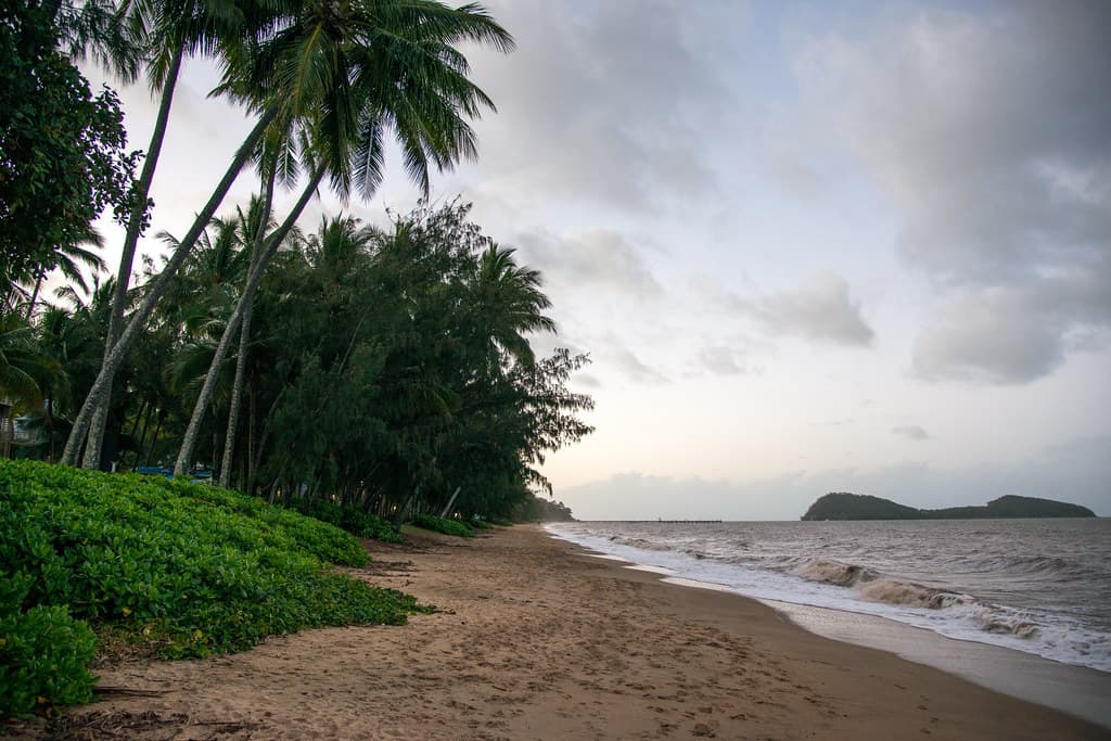 Sunrise - Palm Cove