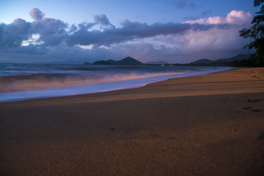 Sunrise  - Palm Cove