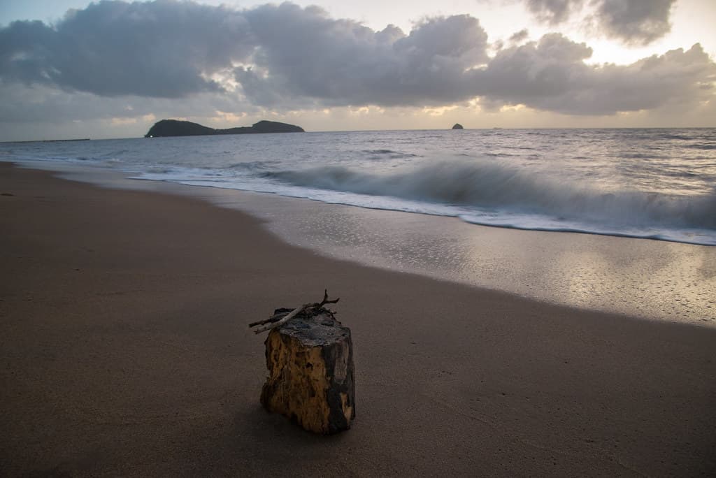 Sunrise - Palm Cove