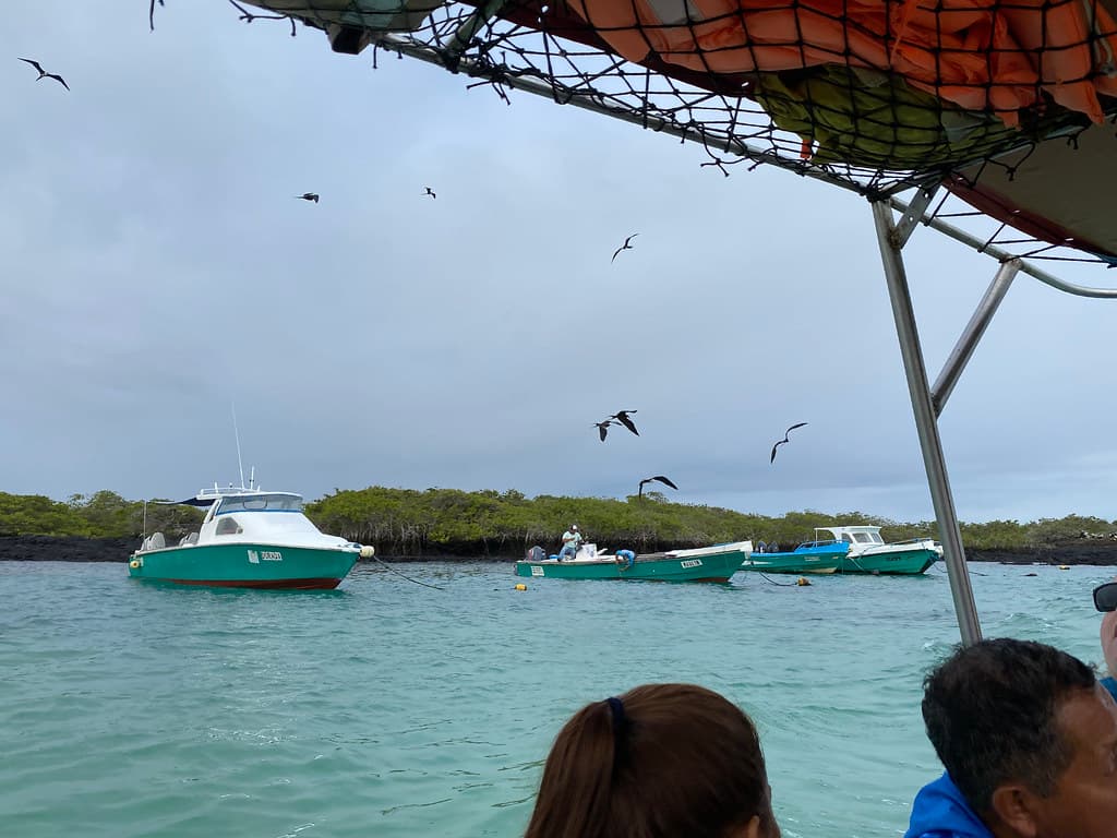 Puerto Villamil, Isla Isabela (Albemarle), the Galápagos Islands, Ecuador.
