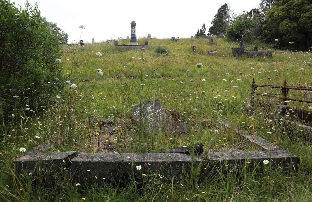 Wesleyan Division C, Row 14, Plots 29 & 31