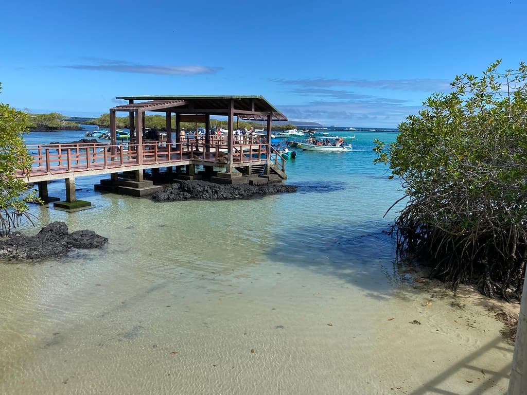 The Puerto Villamil, Isla Isabela (Albemarle), the Galápagos Islands, Ecuador.