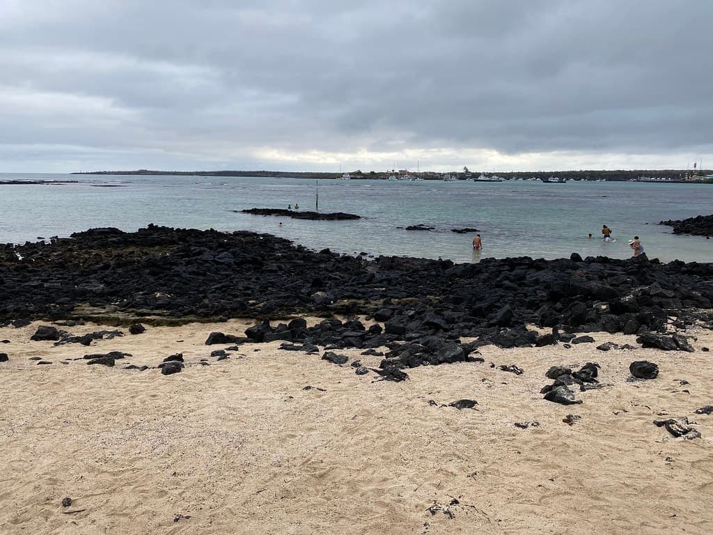 Ratonera Beach, the Charles Darwin Research Station, Isla Santa Cruz, the Galápagos Islands, Ecuador.