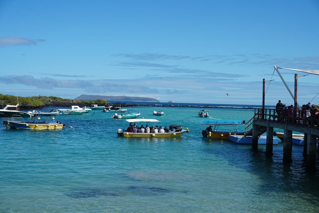 Puerto Villamil, Isla Isabela (Albemarle), the Galápagos Islands, Ecuador.