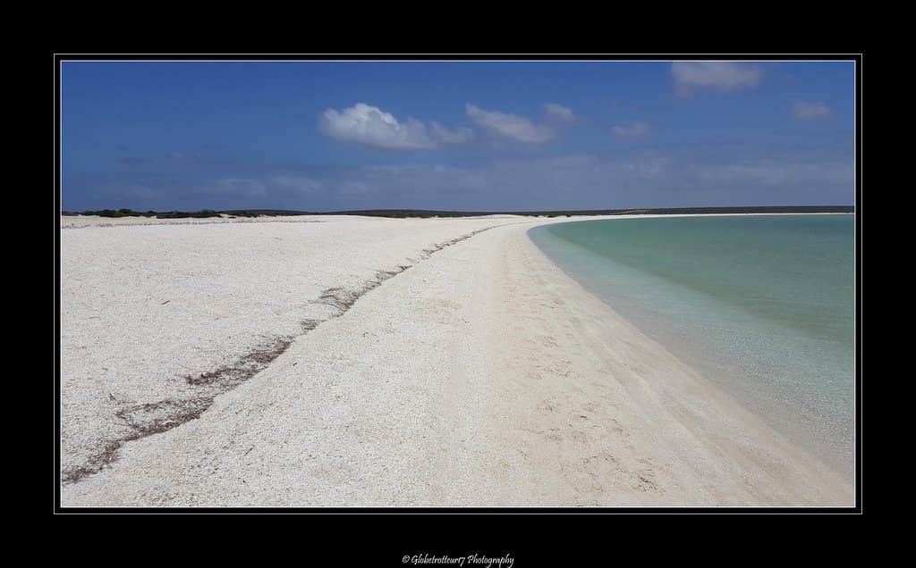 Shell Beach- Shark Bay- Western Australia- Australie