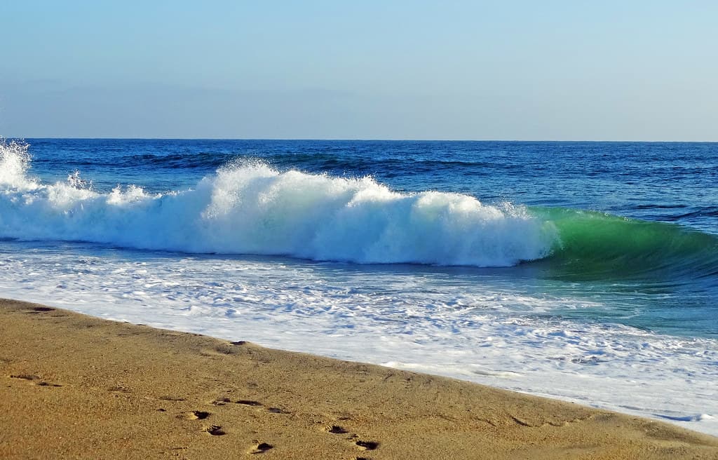 Perishable Prints, Carlsbad State Beach, CA 9-19