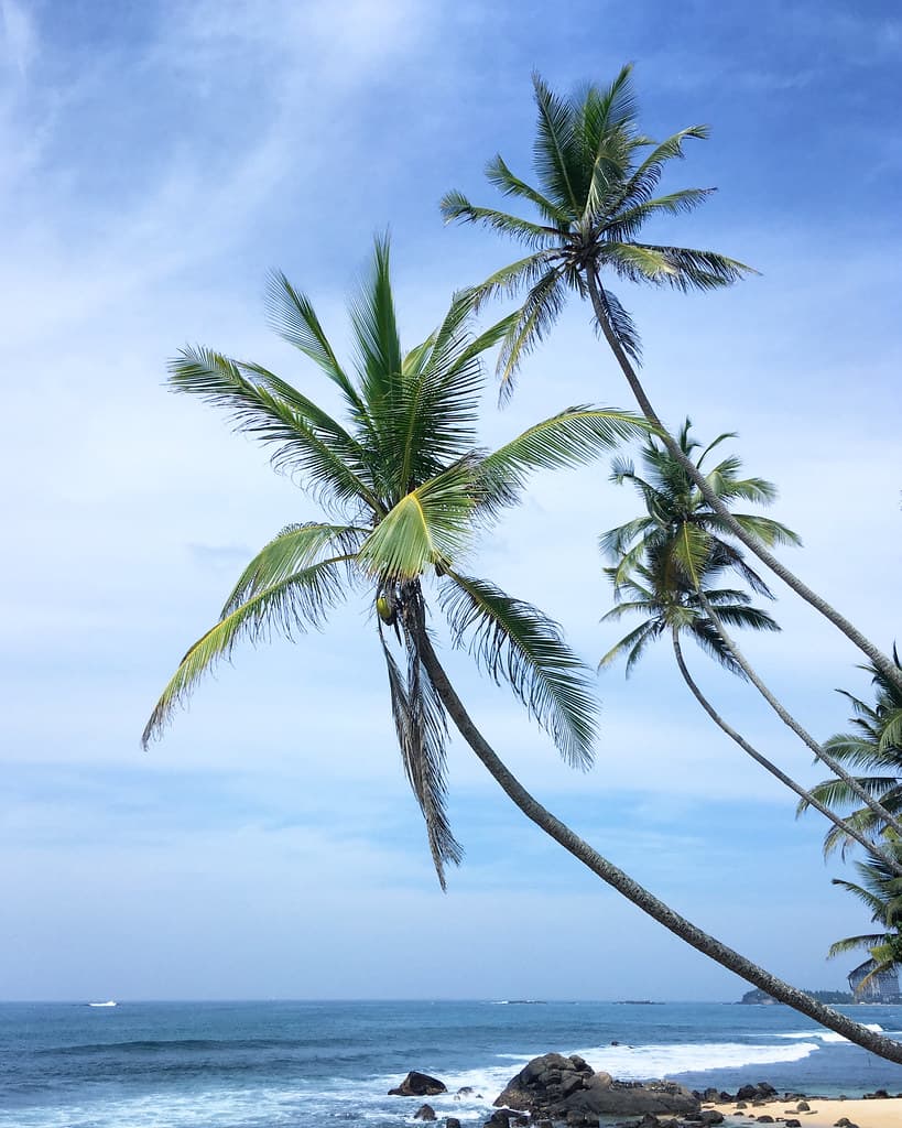 Unawatuna Cove — photo by sergei.gussev