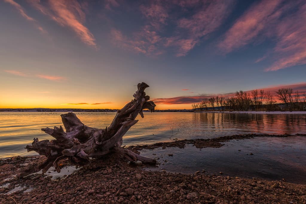 Driftwood Beach