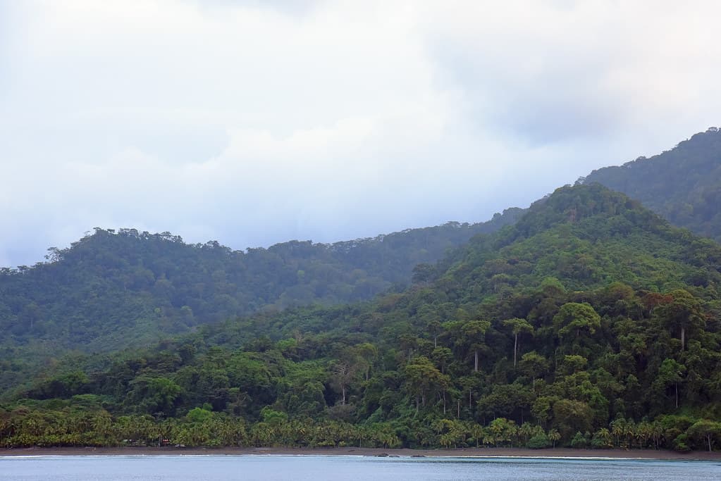 Darién National Park_2019 12 27_2032