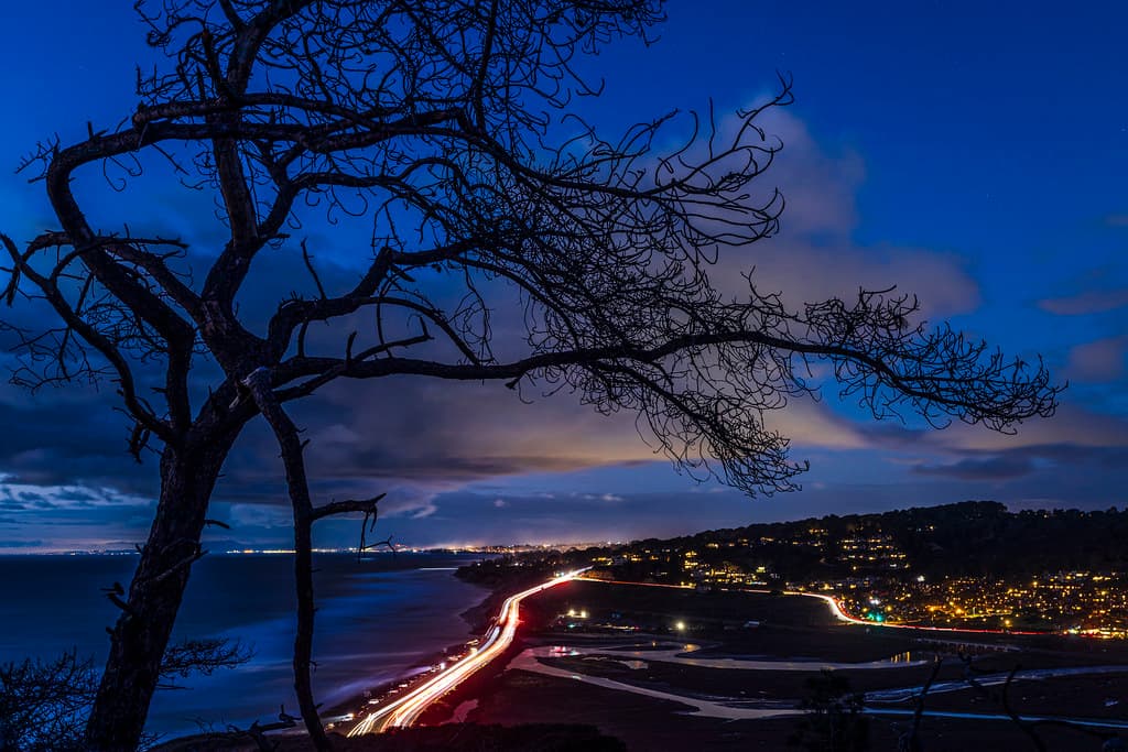Blue Hour Rush Hour
