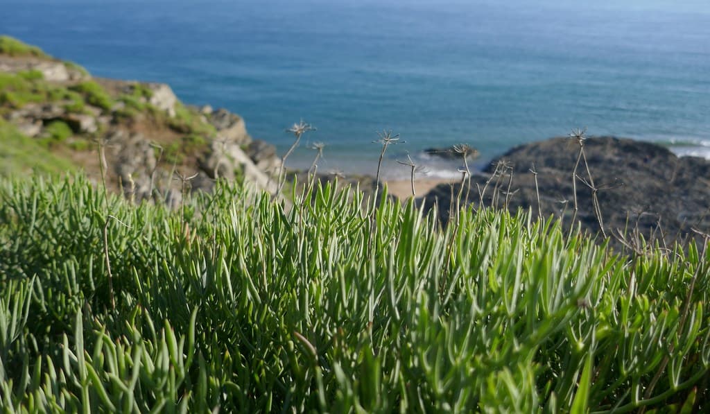 Intrépides, cap de Carteret, Barneville-Carteret, Cotentin, Manche, Normandie, France.