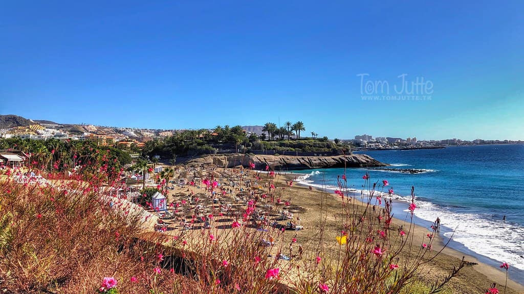 Playa de Fañabé