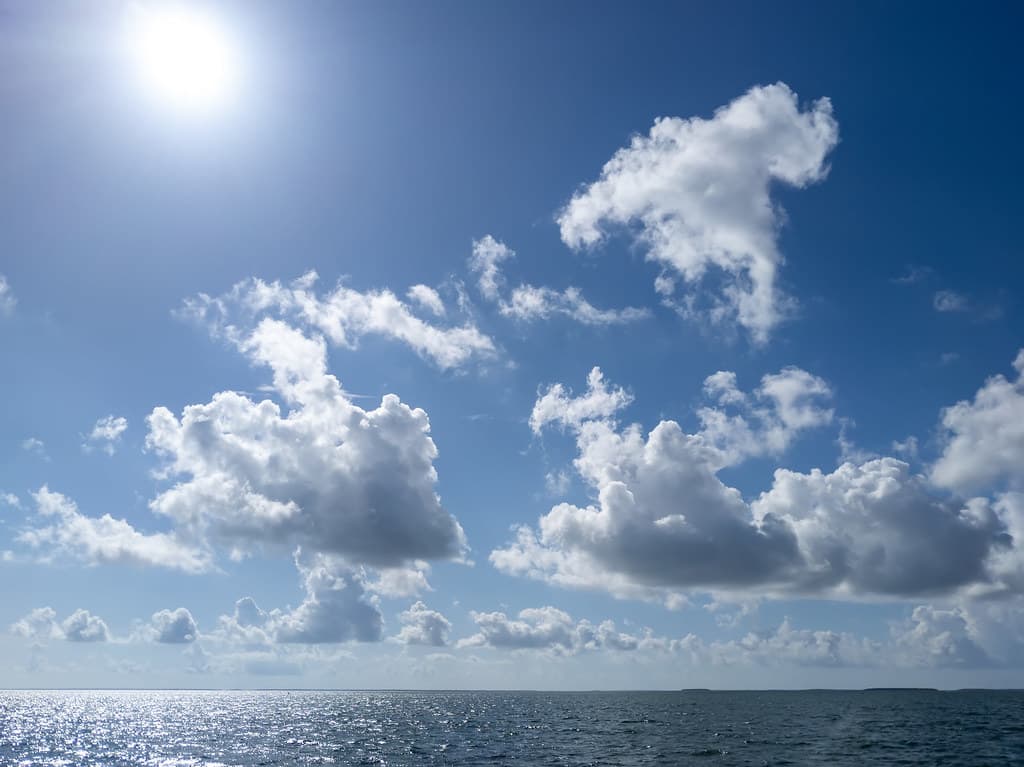 Biscayne National Park