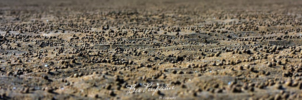 Sand Balls
