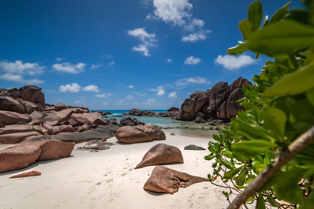Anse Source d'Argent — photo by Jean Boris HAMON