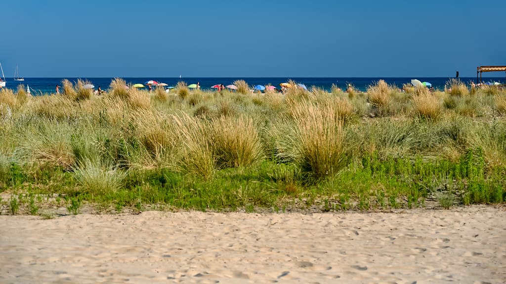 Playa de la Pallisseta — photo by Jorge Franganillo