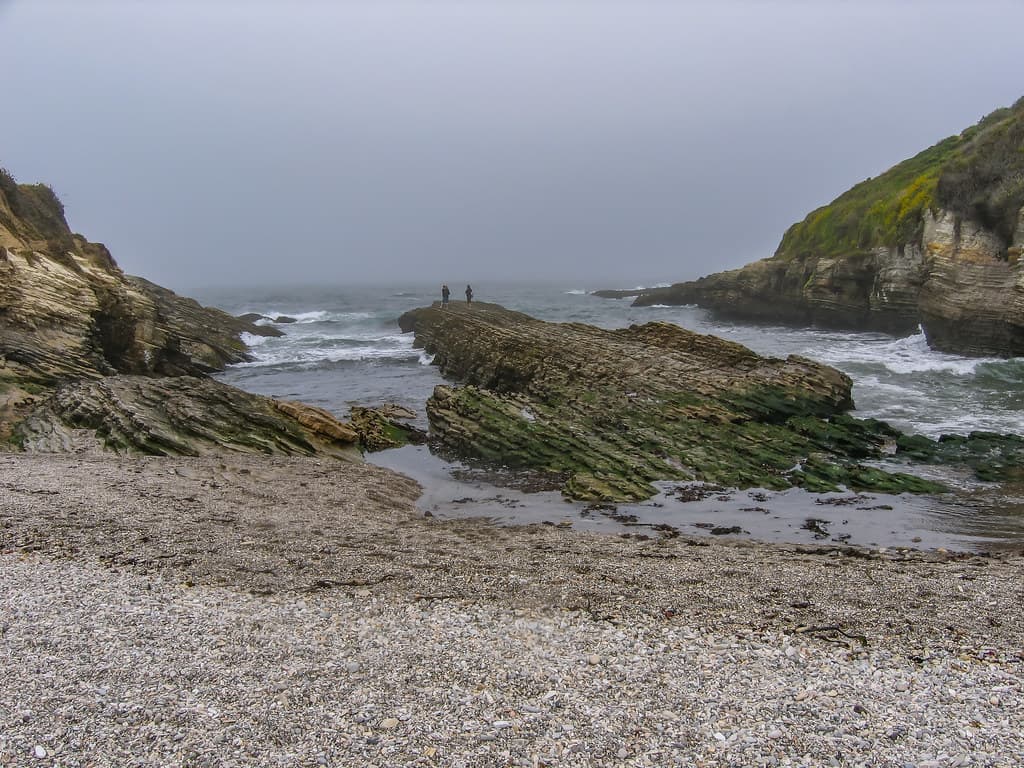 Spooner's Cove 08