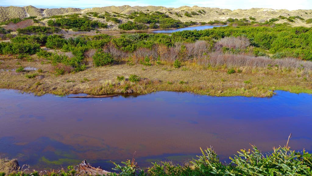 Sutton Creek by the Holman Vista Day Use Area