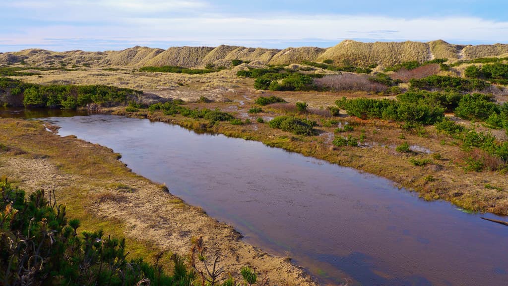 Sutton Creek by the Holman Vista Day Use Area