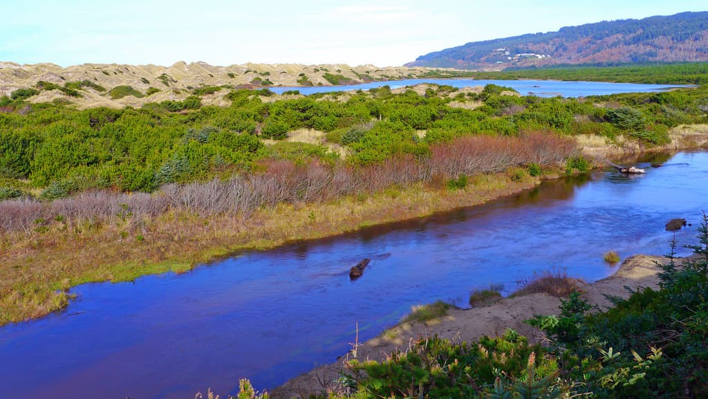 Sutton Creek by the Holman Vista Day Use Area