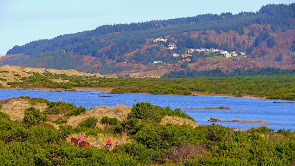 Sutton Creek by the Holman Vista Day Use Area