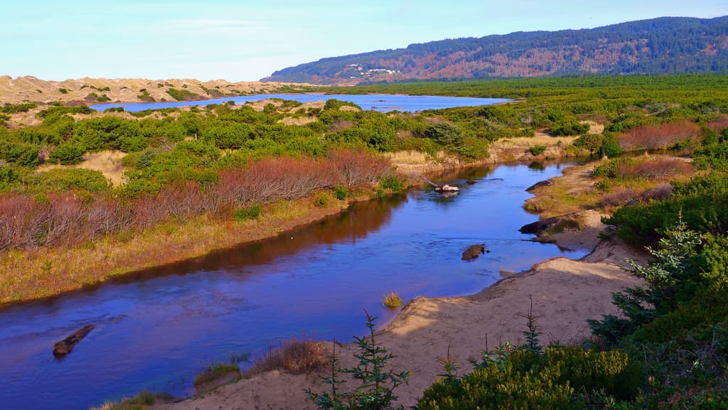Sutton Creek by the Holman Vista Day Use Area