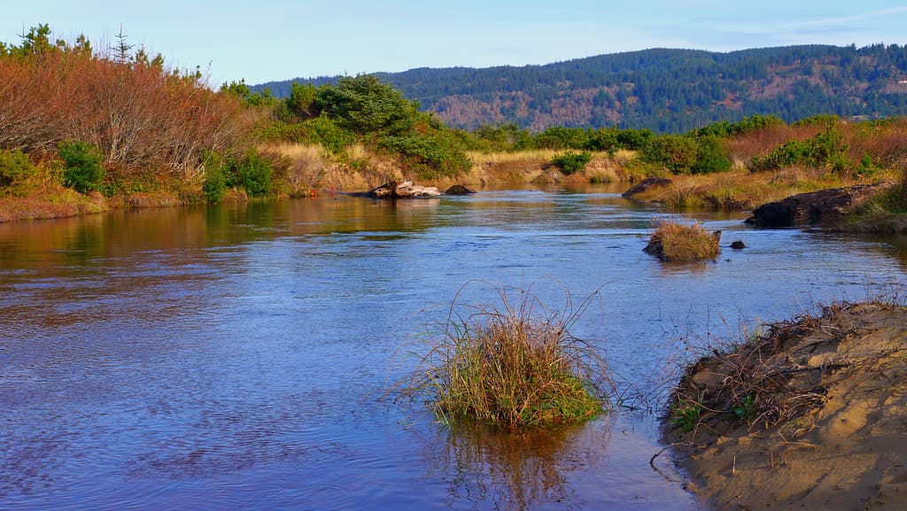 Sutton Creek by the Holman Vista Day Use Area