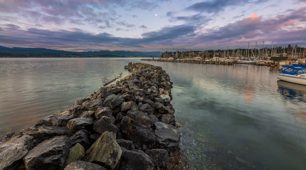 Morning View From the Harbor