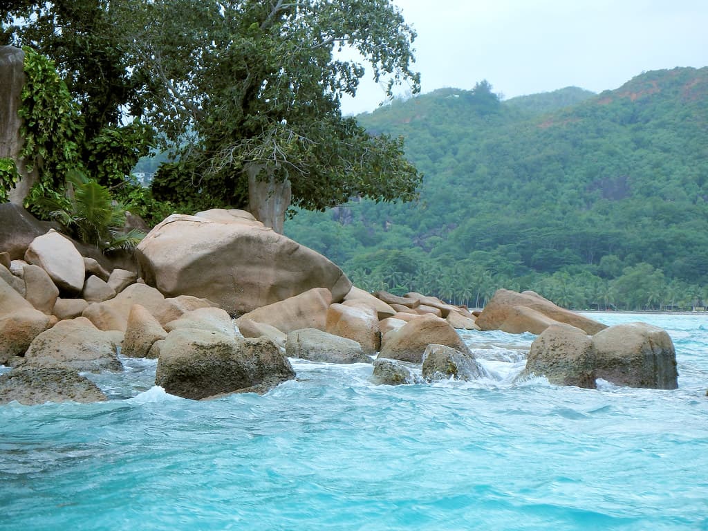Anse Volbert, Praslin