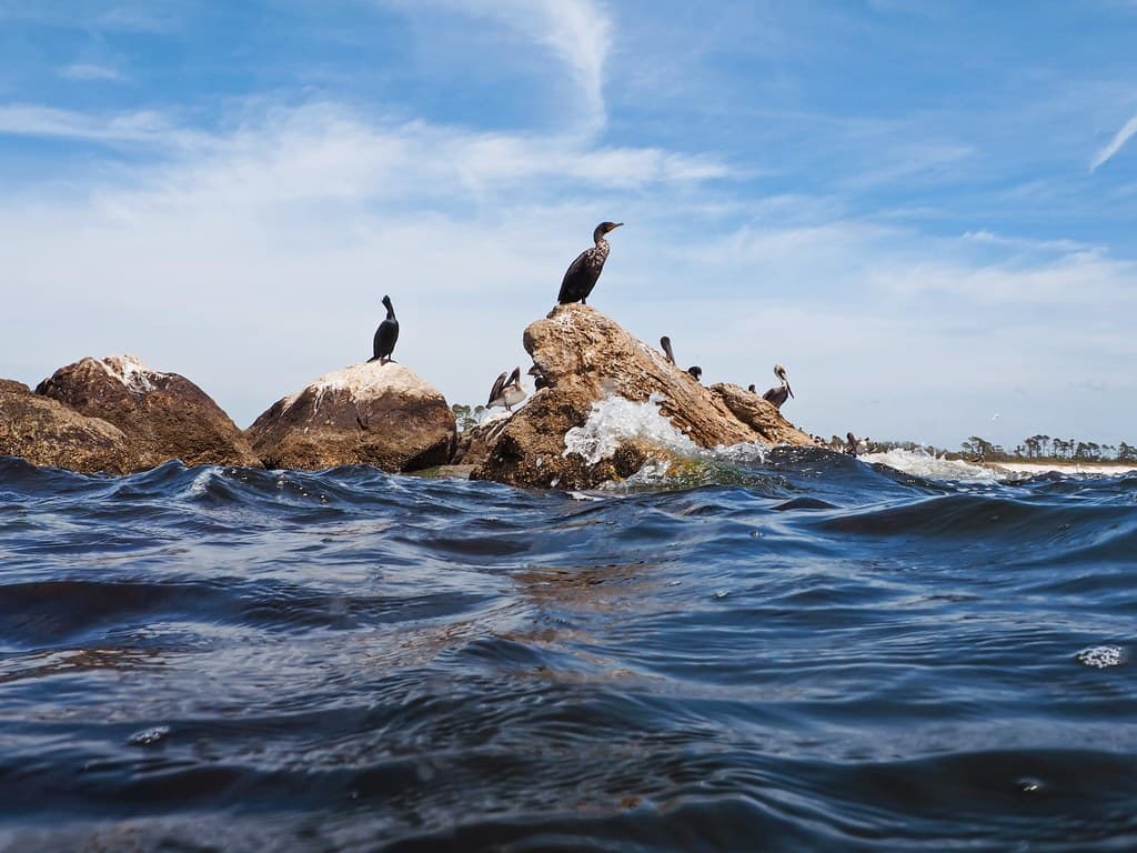 Cormorant Rocks at St. Andrews
