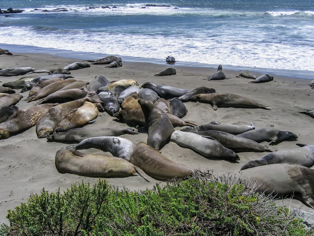 Piedras Blancas 2007 07 03 13