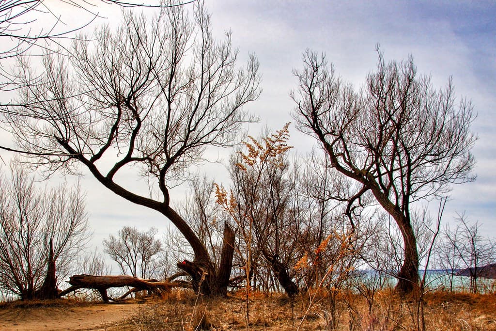 Toronto Ontario - Canada - Scarborough Bluffs - Bluffers Park - Landmark