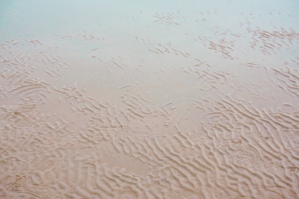 Pihlajasaari Beach