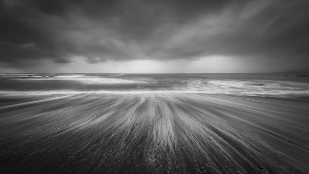 Pukerua Bay, wild