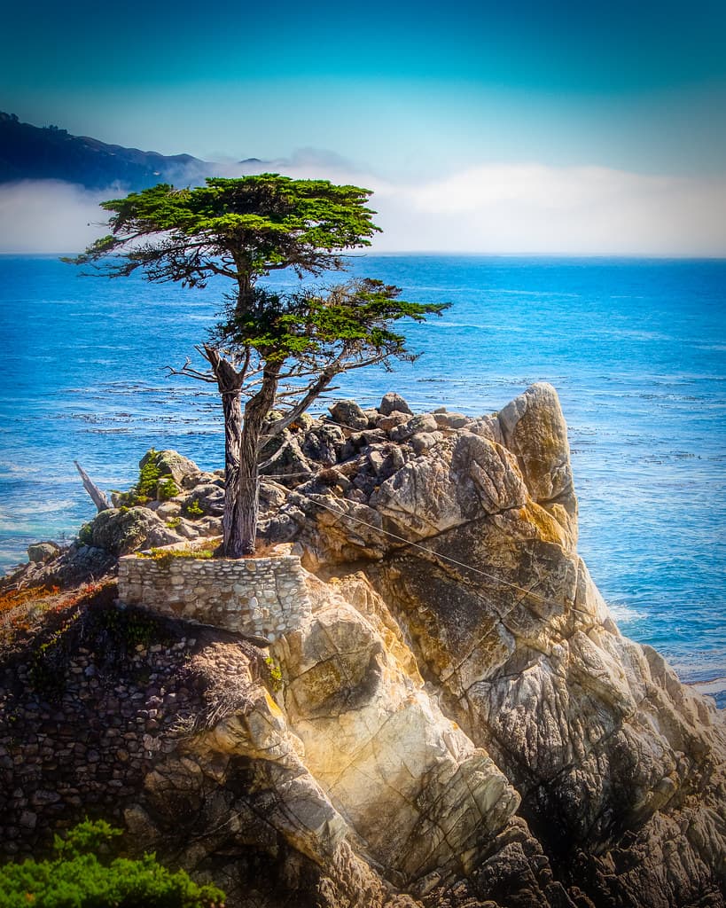Del Monte Beach — photo by CDay DaytimeStudios w > 2 Million views