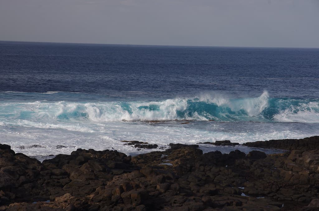 Playa del Cochino