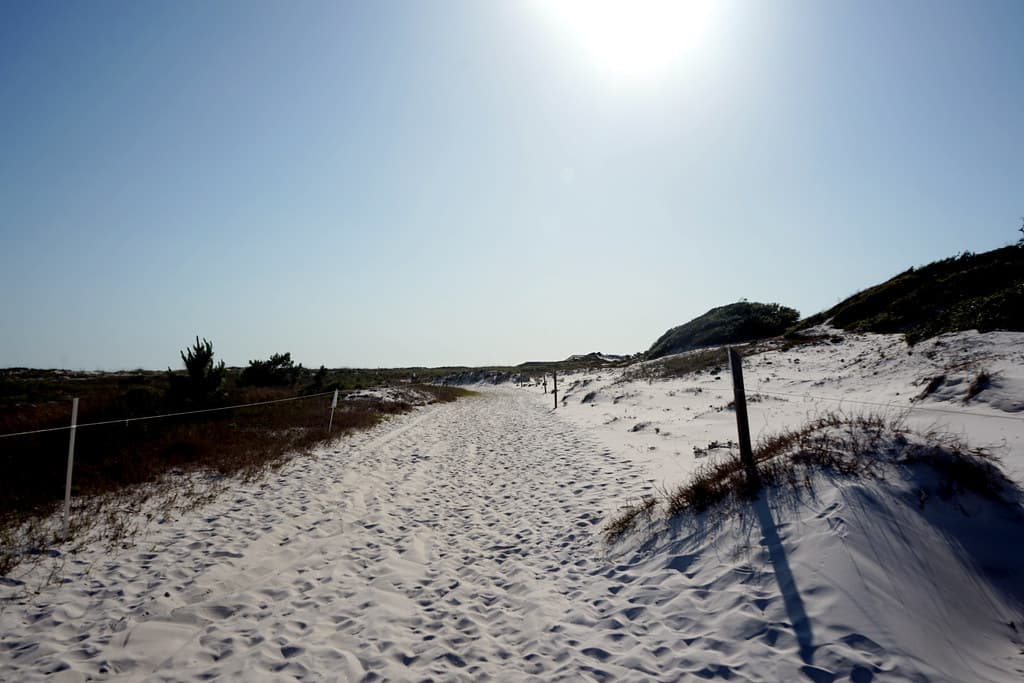 The Forgotten Coast. From Tallahassee to Pensacola. State Parks