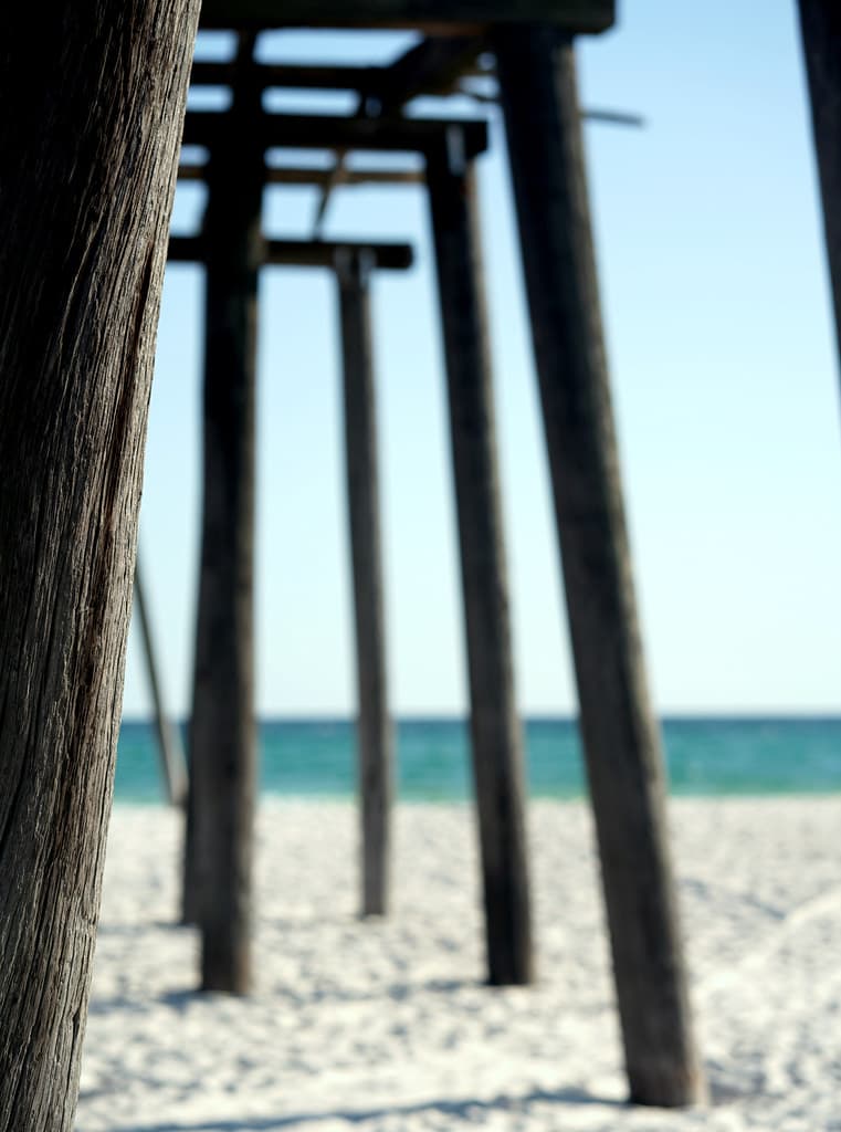 The Forgotten Coast. From Tallahassee to Pensacola. State Parks