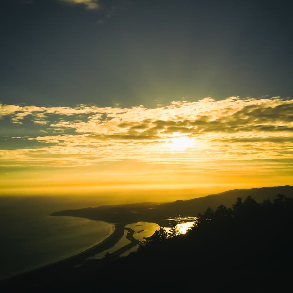 Mt. Tam