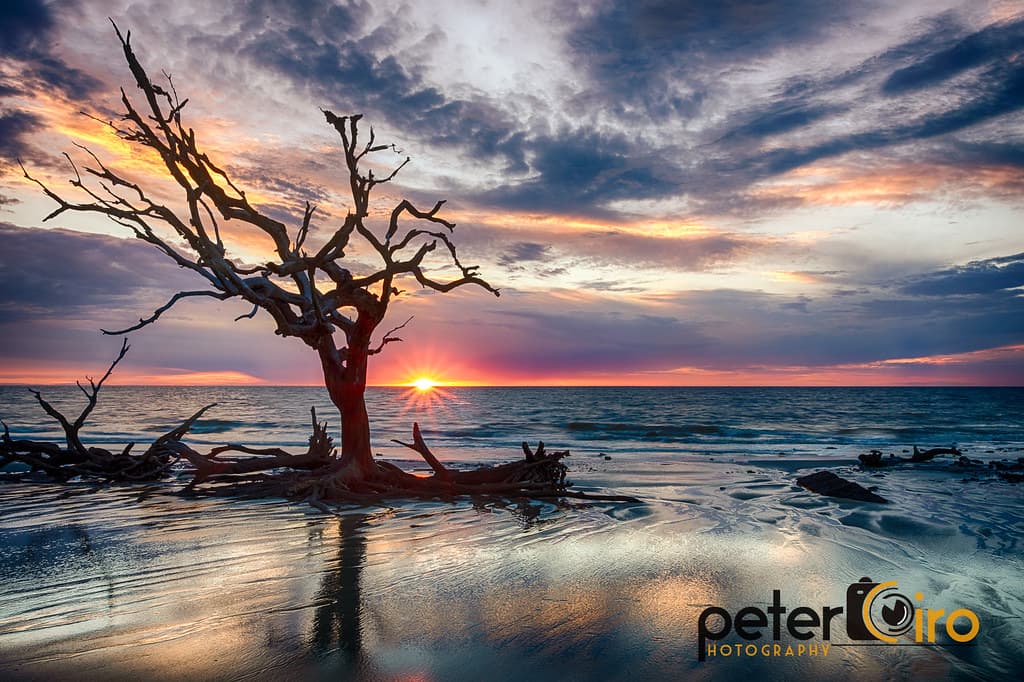 Sunrise at Driftwood Beach on Jekyll Island, Georgia